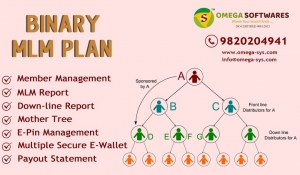 Affordable Binary MLM Plan provider in Mumbai